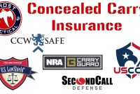 Concealed gungoddess
